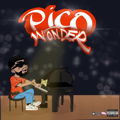 Pico Wonder - Single