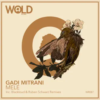 Mele (Ruben Schwarz Remix) by Gadi Mitrani song reviws