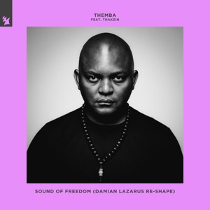 Sound of Freedom (feat. Thakzin) [Damian Lazarus Re - Shape] - Single