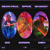 Go Down Deh (feat. Sean Paul & Shaggy) song art