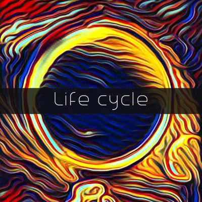 Life Cycle - Single