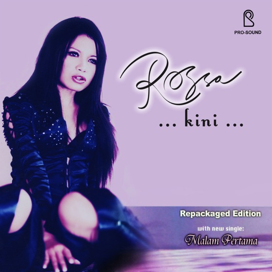 Cover artwork for Kini