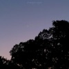 wreekie - L-0017