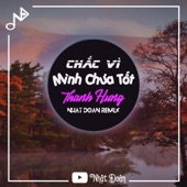 Chắc Vì Mình Chưa Tốt (feat. Thanh Hưng) [Remix] artwork