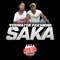 Saka (feat. Nina) - Vusinator lyrics