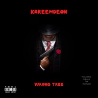 Wrong Tree - Single - KareemDeon