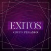 Grupo Pegasso - Al Partir