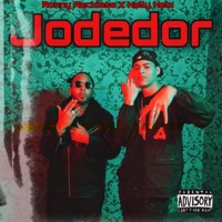 Jodedor (feat. Nelly Nelz) - Single
