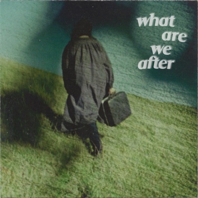 What Are We After - Single
