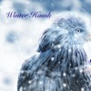 Winter Hawk (feat. Clare Steffen) - Single