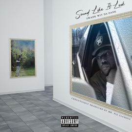 Hustler (feat. Marco Plus) Swank Wit Da Dank