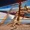 Sui Generis - All Glass lyrics