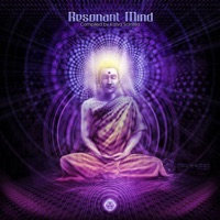 Resonant Mind - Various Artists