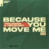Because You Move Me by Tinlicker, Helsloot iTunes Track 12