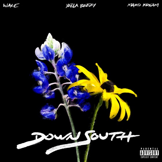 Cover artwork for Down South (feat. Yella Beezy & Maxo Kream)