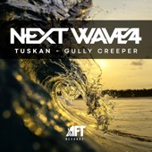 Tuskan - Gully Creeper