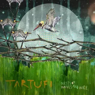 ladda ner album Tartufi - Nests Of Waves And Wire