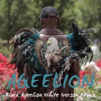 Black Aqeelion White Iverson (Remix) - Single - Aqeelion