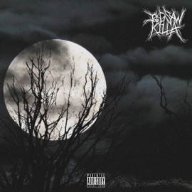 Missing Pieces Jigsaw Killa