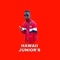 Junior's Hawaii - MR SCOO MUSIC lyrics