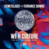 We R Culture (feat. Terrance Downs) [Wipe the Needle Remix] artwork