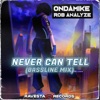 ROB ANALYZE/ONDAMIKE - Never Can Tell
