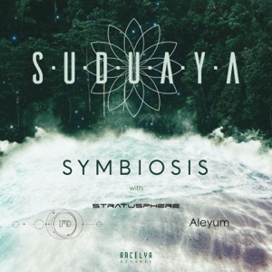 Symbiosis - Single