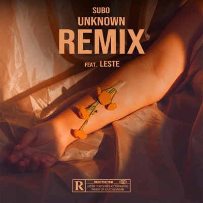 Unknown (Leste Remix) [Leste Remix] - Single