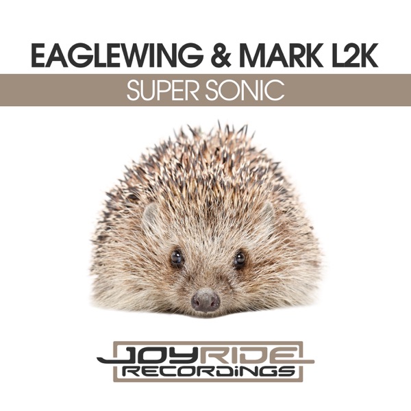 Super Sonic - Single