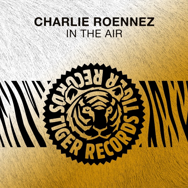 In the Air - Single