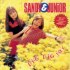 Dig Dig Joy - Sandy e Junior