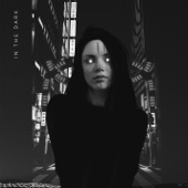 In the Dark (feat. Max Landry) [Arc North Remix] artwork