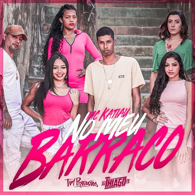 Meu Barraco - Single