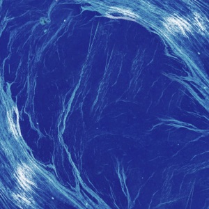 First Light - Single