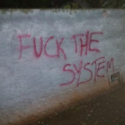 Fuck the System - Single