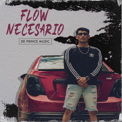 Flow Necesario - Single