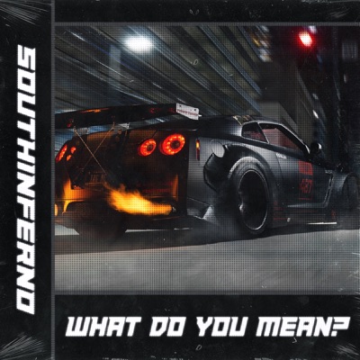 What Do You Mean? - Single