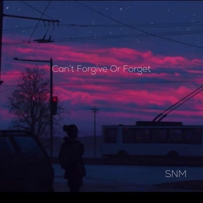Can't Forgive Or Forget - Single