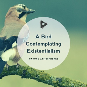 A Bird Contemplating Existentialism