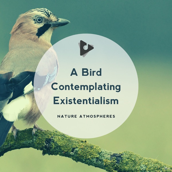 A Bird Contemplating Existentialism