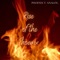 Days of Our Lives - Phoenix T. Analog lyrics