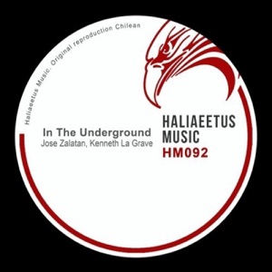 In the Underground - Single
