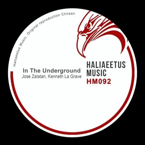 In the Underground - Single