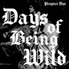 Days of Being Wild - Single