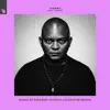 Sound Of Freedom (Damian Lazarus Re