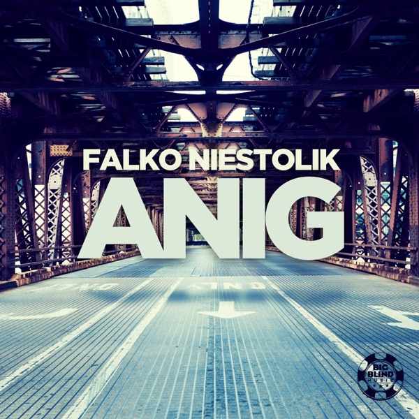Anig - Single