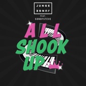 All Shook Up (feat. Sonofsteve) artwork