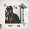 Hot Sizzle (feat. Capitol G & Vic carter) - Chuck T Dope lyrics