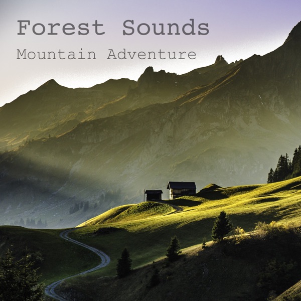 Mountain Adventure