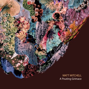 A Pouting Grimace (feat. Kim Cass, Kate Gentile, Ches Smith, Dan Weiss, Patricia Brennan, Katie Andrews, Anna Webber, Jon Irabagon, Ben Kono, Sara Schoenbeck, Scott Robinson & Tyshawn Sorey)